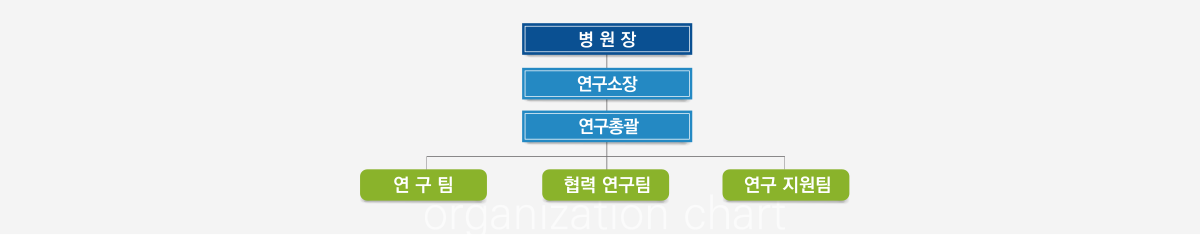 이손의료경영연구소 조직도